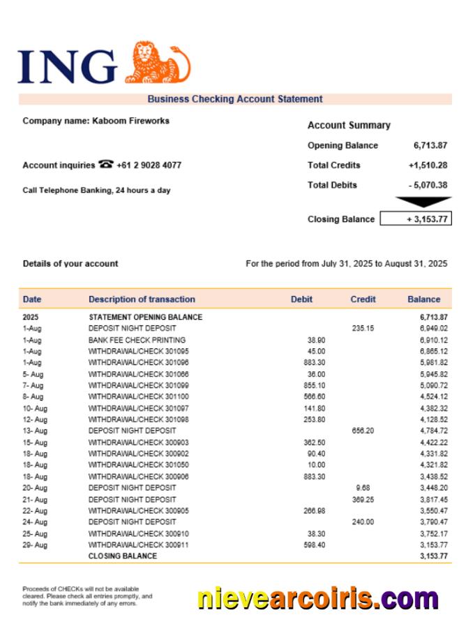ING Direct business bank statement